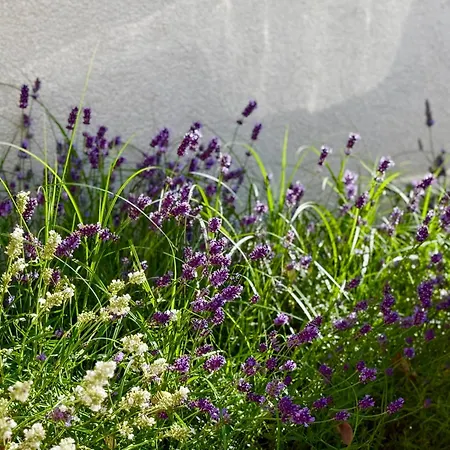 Gościnne Plażowa 3* Jastarnia